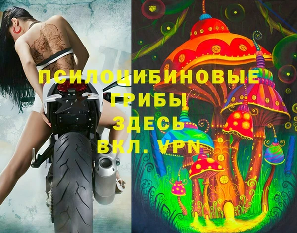 не бодяженный Алзамай