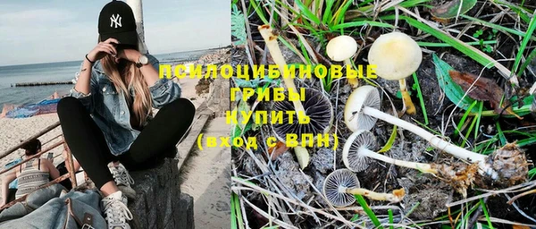 ALPHA-PVP Алексеевка