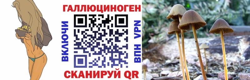 купить наркотики цена  Новоуральск  Галлюциногенные грибы мухоморы 